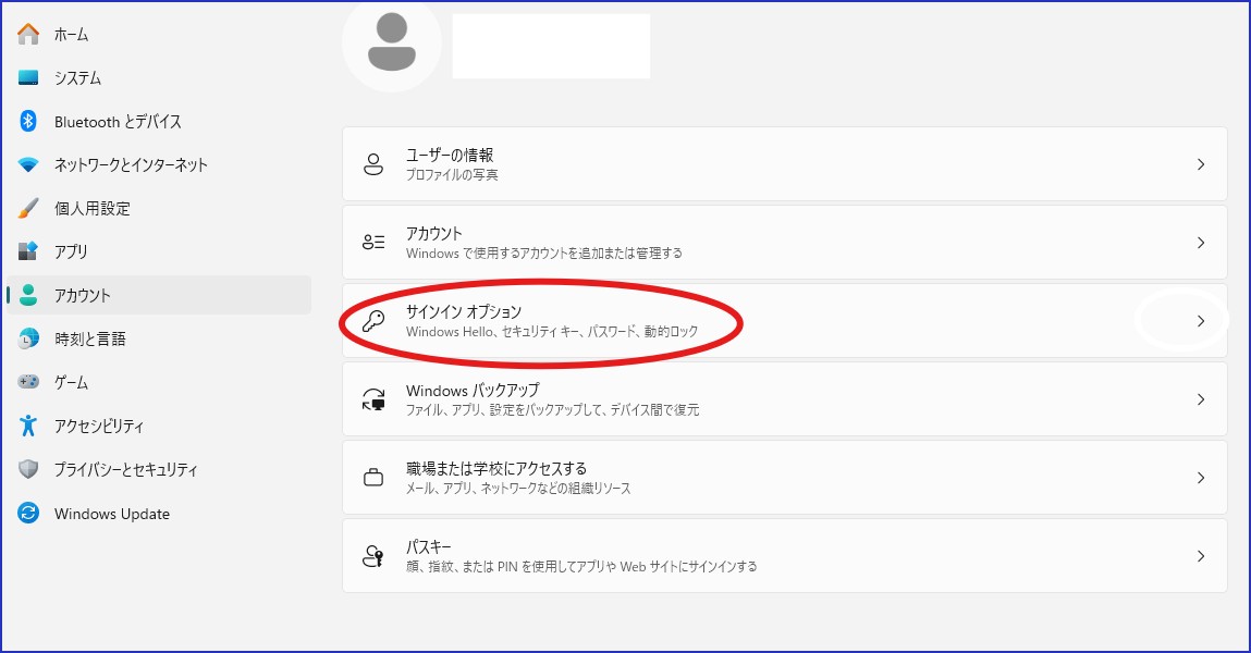 サインインオプション